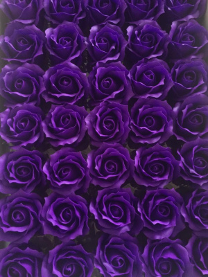 /tmp/v8_Lr0IIr_3e71.WhatsApp Image 2021-03-05 at 12.48.16