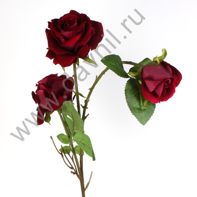 /tmp/v8_Lr0IIr_37c5.А1-53 фиолетовый