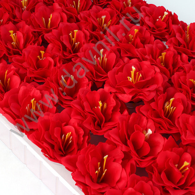 /tmp/v8_Lr0IIr_177b.А2-9-17