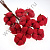 Ветка хлопок одинарный 30 см 10 шт. красный 26