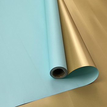 6109357118046979911 (2)