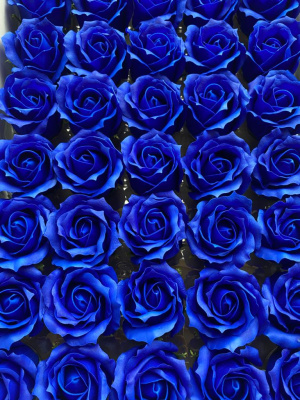 /tmp/v8_Lr0IIr_3e65.WhatsApp Image 2021-03-05 at 12.29.57 (1)