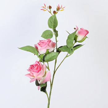 /tmp/v8_Lr0IIr_83b7.А1-56 ярко-розовый