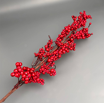 photo_6186017040129264707_y