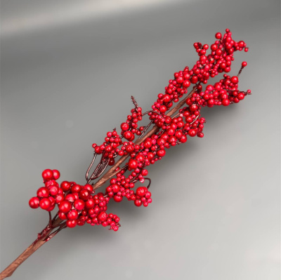 photo_6186017040129264707_y