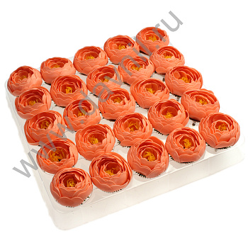 /tmp/v8_Lr0IIr_3cbb.А2-13-HD2-29