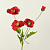 Цветок мака 3 головки 60 см 1 шт бордовый