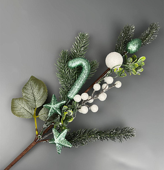 photo_6165874154612132966_y