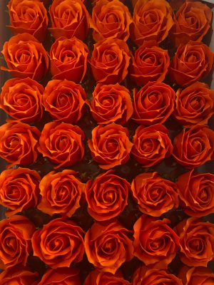 /tmp/v8_Lr0IIr_3e7b.WhatsApp Image 2021-03-05 at 13.07.43