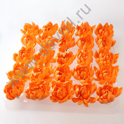 /tmp/v8_Lr0IIr_182b.А2-8-216