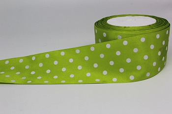 /tmp/v8_Lr0IIr_4f80.IMG_2606