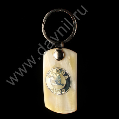 /tmp/v8_Lr0IIr_38d4.IMG_0160