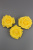 /tmp/v8_Lr0IIr_e6d5.377e0c61-3753-4ed3-a90e-bd0b2cbe7871