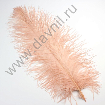 /tmp/v8_Lr0IIr_4aed.А45-2-21 (2)