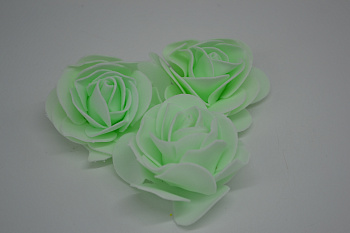 /tmp/v8_Lr0IIr_9b49.DSC_0008