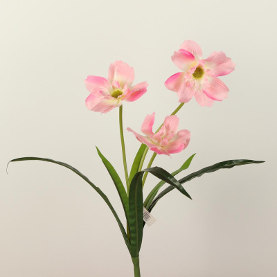 /tmp/v8_Lr0IIr_7dca.А1-61 розовый