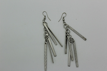 /tmp/v8_Lr0IIr_4a1b.IMG_1411