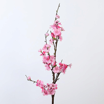 /tmp/v8_Lr0IIr_7d8a.IMG_4135