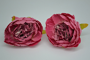 /tmp/v8_Lr0IIr_9a4a.DSC_0002