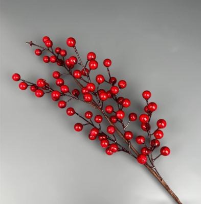 photo_6165874154612132969_y