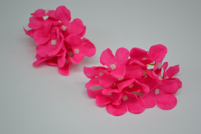 /tmp/v8_Lr0IIr_747c.DSC_0011