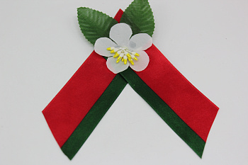 /tmp/v8_Lr0IIr_a253.IMG_2651