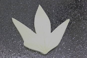 /tmp/v8_Lr0IIr_7aa7.IMG_2170