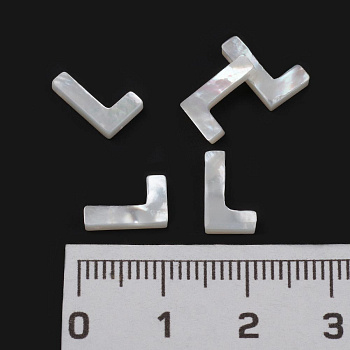 /tmp/v8_Lr0IIr_e323.L10