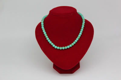 /tmp/v8_Lr0IIr_488f.IMG_2496