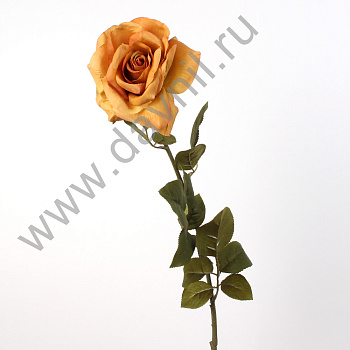 /tmp/v8_Lr0IIr_39c8.А1-16