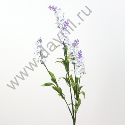 /tmp/v8_Lr0IIr_398c.А1-115