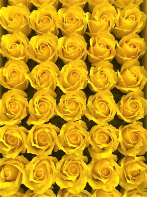 /tmp/v8_Lr0IIr_3e77.WhatsApp Image 2021-03-05 at 13.02.06