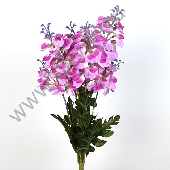 /tmp/v8_Lr0IIr_37b0.А1-35 сиреневый