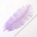 Страусиные перья 45-50 см