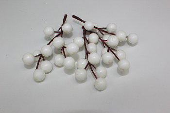 /tmp/v8_Lr0IIr_9925.IMG_3312