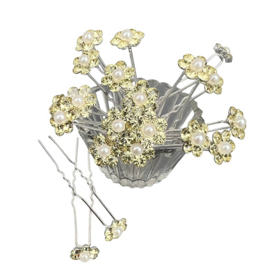 50ca593b-f2a6-4245-8004-6f1301ee7ee5