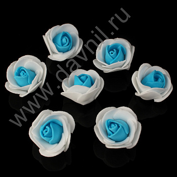 /tmp/v8_Lr0IIr_272d.К36-10Ф белый-синий