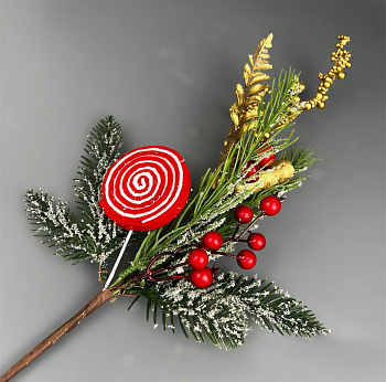 photo_6165874154612132962_y