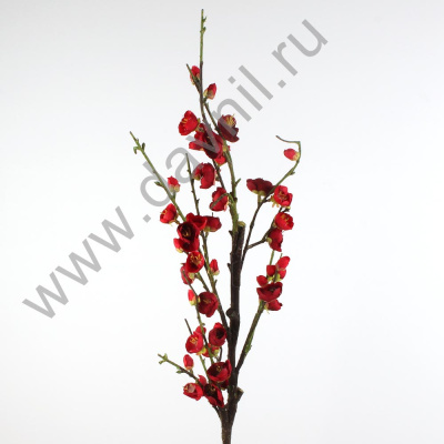 /tmp/v8_Lr0IIr_3fde.А1-14 (2)