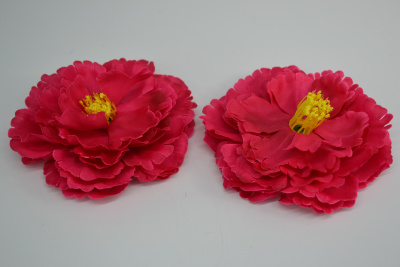 /tmp/v8_Lr0IIr_9a96.DSC_0019