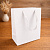 Подарочный пакет 18*23*10 см 10 шт белый
