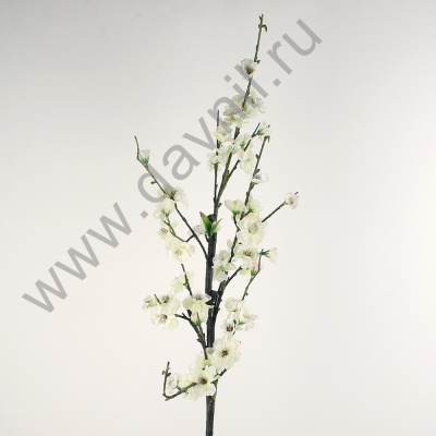 /tmp/v8_Lr0IIr_3fda.А1-12