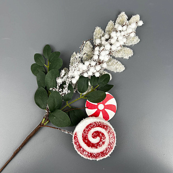 photo_6165874154612132973_y