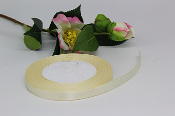 /tmp/v8_Lr0IIr_cb78.IMG_2781