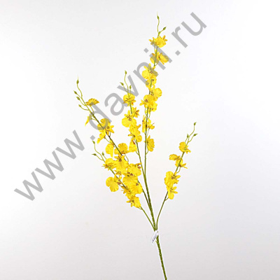 /tmp/v8_Lr0IIr_3a53.А1-1 желтая