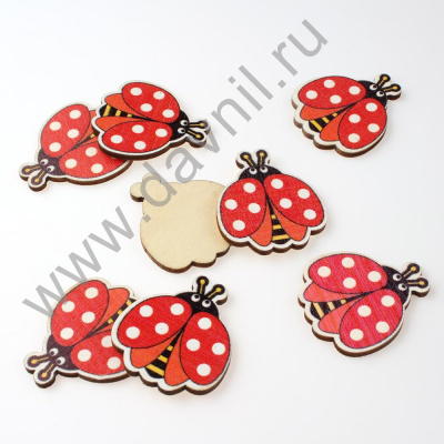 /tmp/v8_Lr0IIr_3ef3.IMG_0006