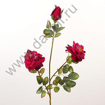 /tmp/v8_Lr0IIr_4785.А1-47