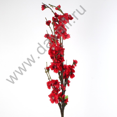 /tmp/v8_Lr0IIr_3fdb.А1-12 (2)