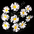 Бутоньерка тканевая "Ромашка" 10 шт. белая 01