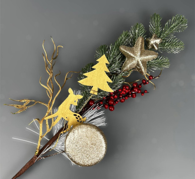 photo_6165874154612132958_y